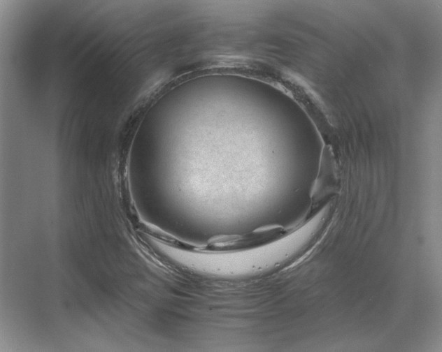 X0000071811403200606301215
