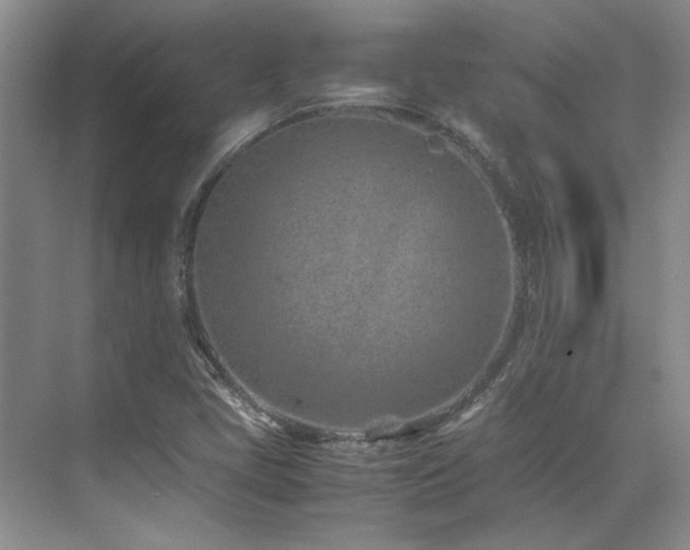 X0000071811405200606301215