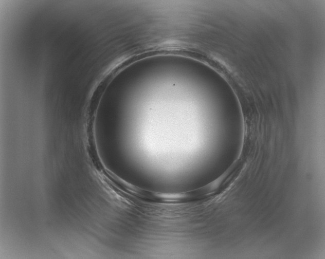 X0000071811410200606301215