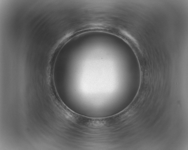 X0000071811411200606301215