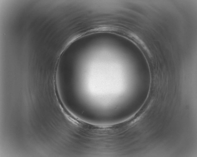 X0000071811425200606301215