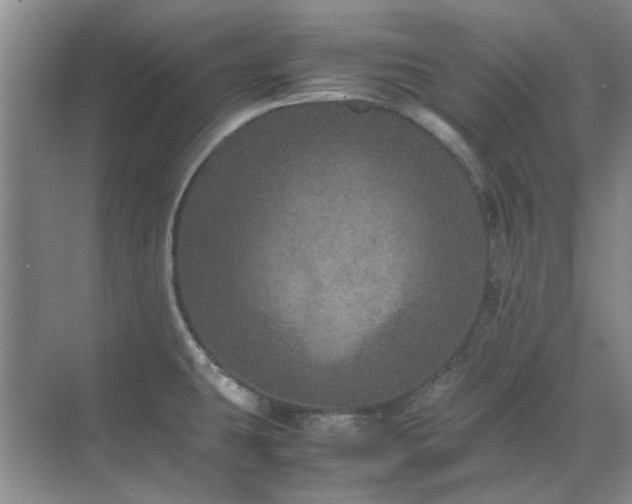 X0000071811431200606301215