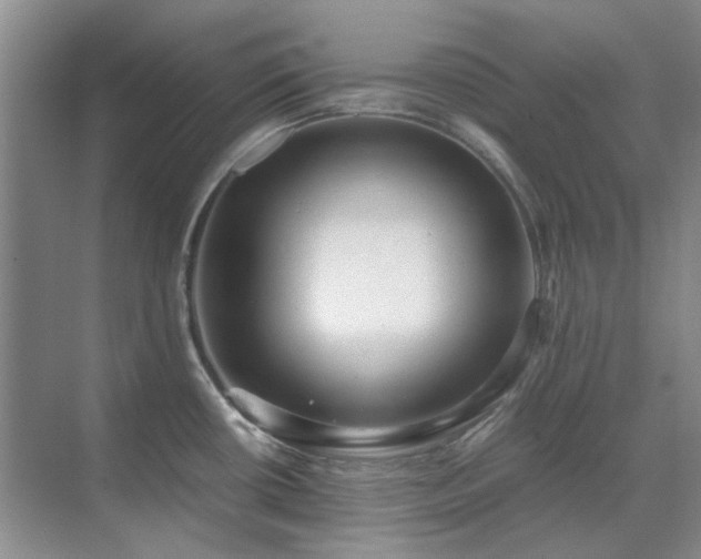 X0000071811434200606301215
