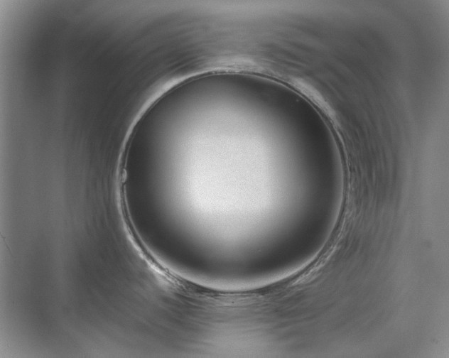 X0000071811440200606301215