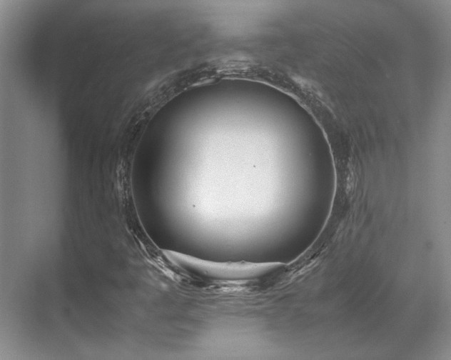 X0000071811445200606301215