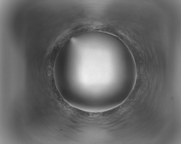 X0000071811447200606301215