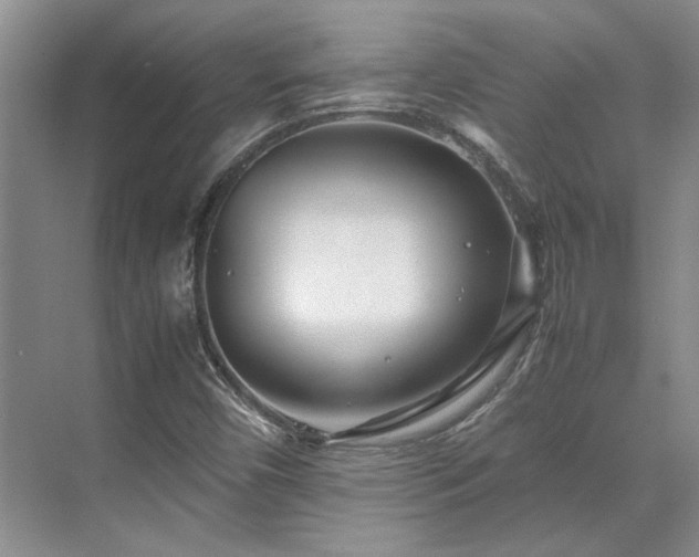 X0000071811450200606301214