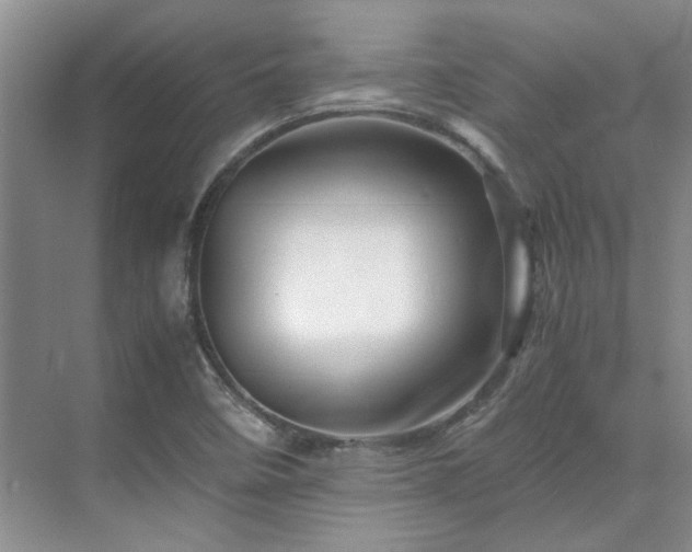 X0000071811458200606301214