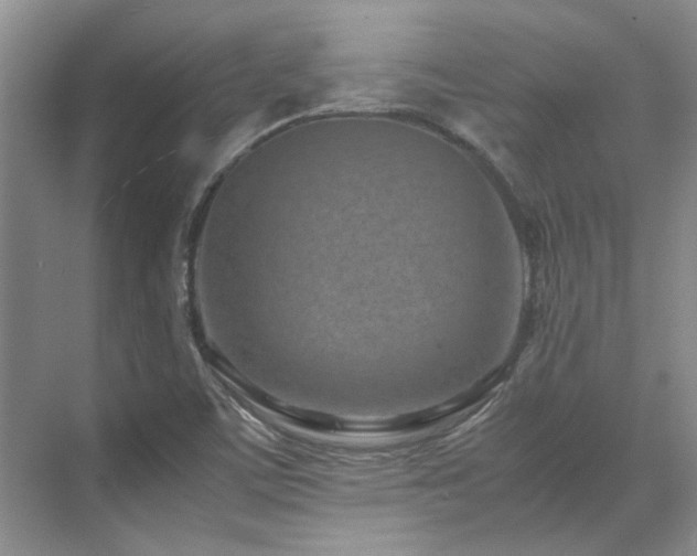 X0000071811459200606301214