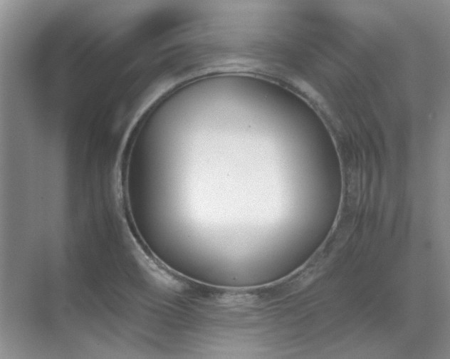 X0000071811466200606301214