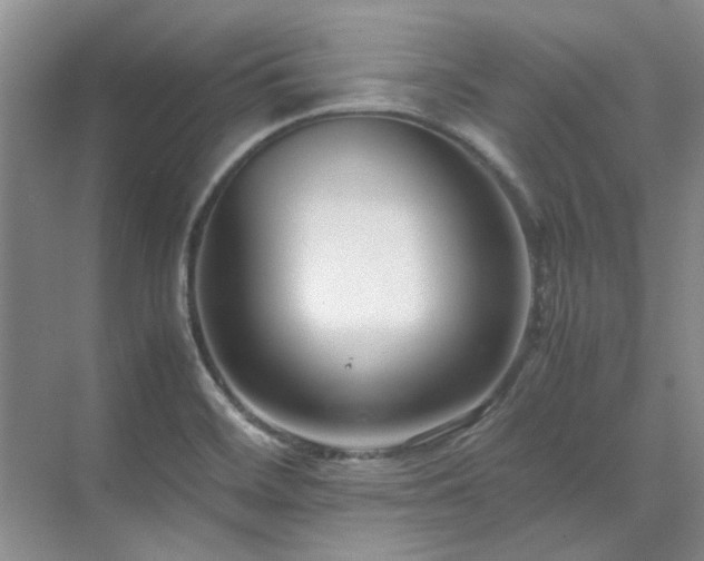 X0000071811468200606301214