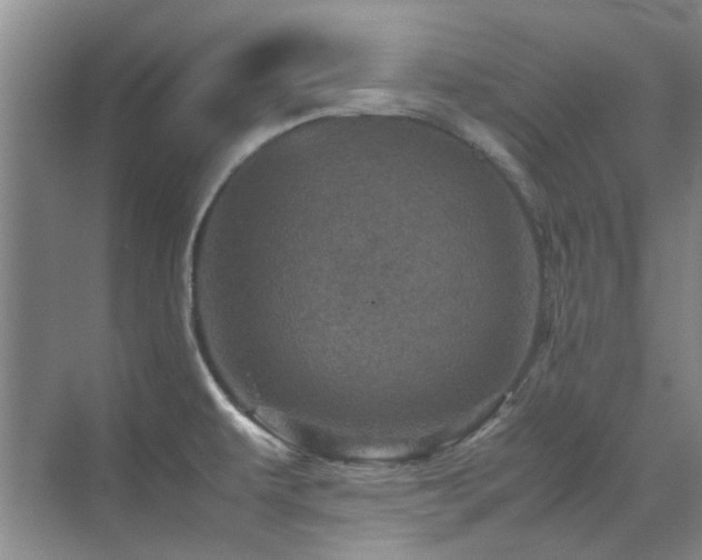 X0000071811479200606301214
