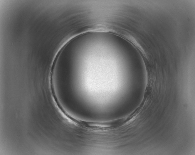 X0000071811484200606301214