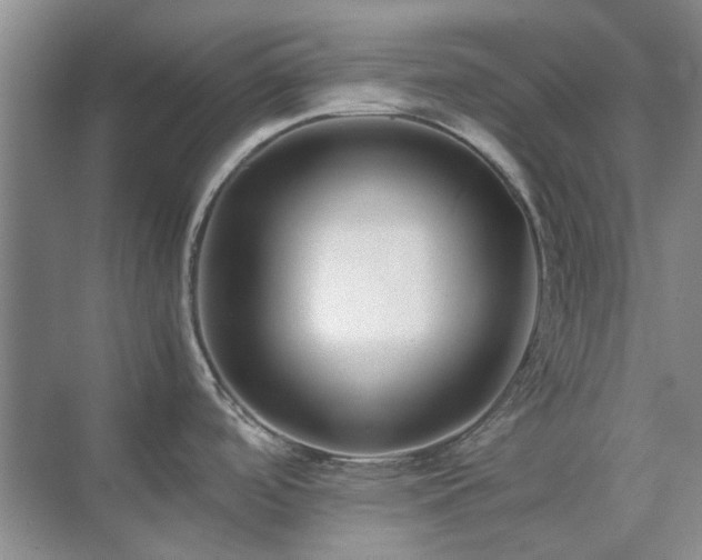 X0000071811488200606301214
