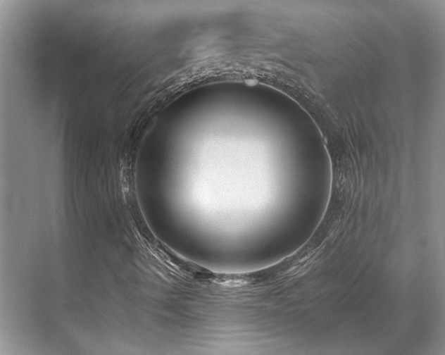 X0000071811490200606301213