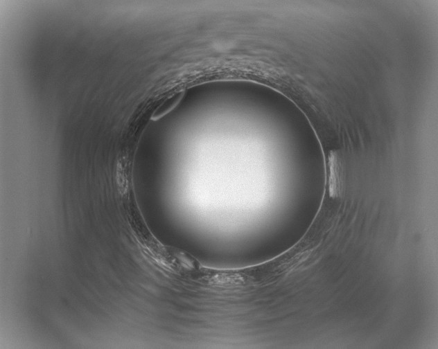 X0000071811491200606301213