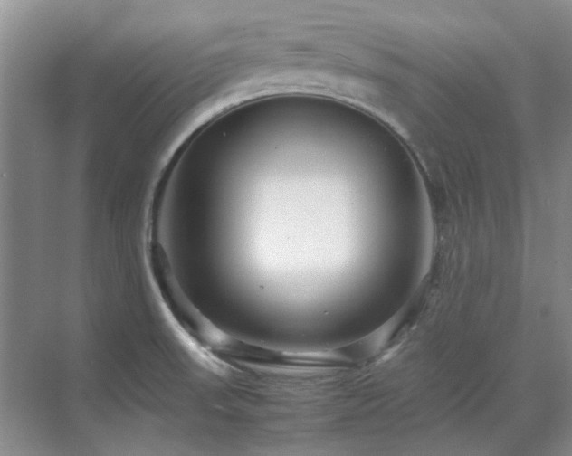 X0000071811523200606301214