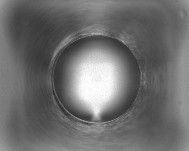 X0000071810004200607072129