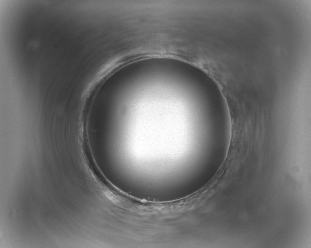 X0000071810005200607072129