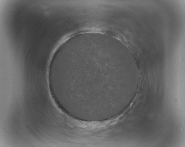 X0000071810006200607072129