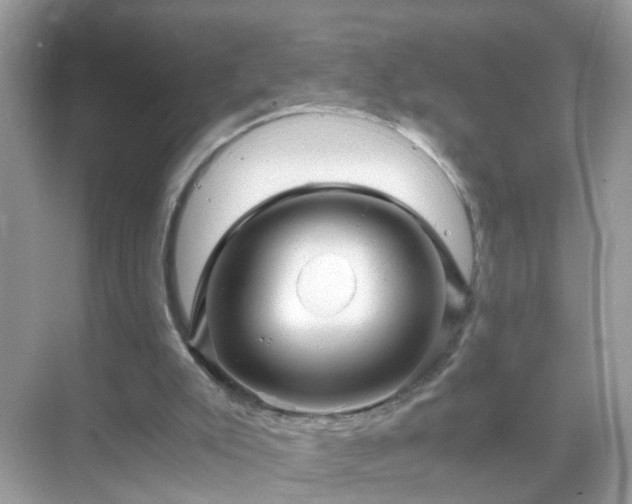 X0000071810007200607072129