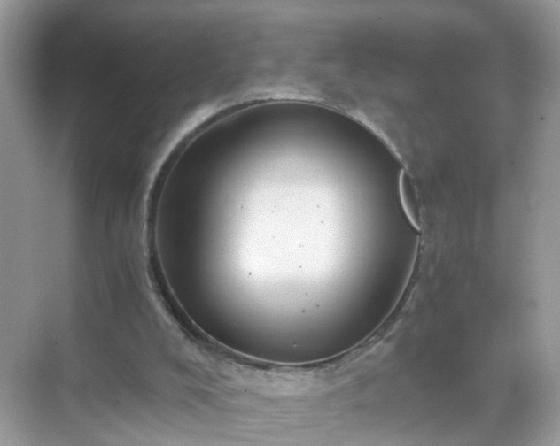 X0000071810008200607072129