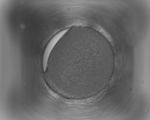 X0000071810009200607072129