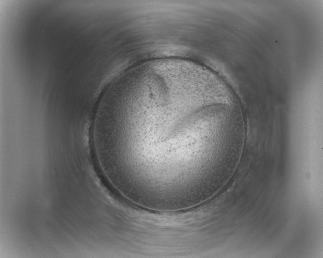 X0000071810010200607072129