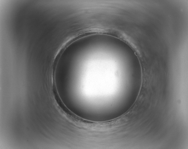 X0000071810011200607072129