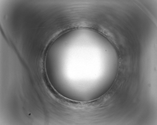 X0000071810012200607072129