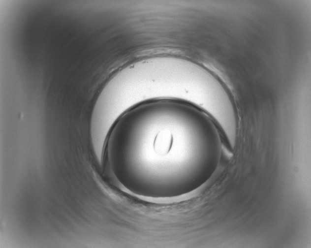 X0000071810013200607072129