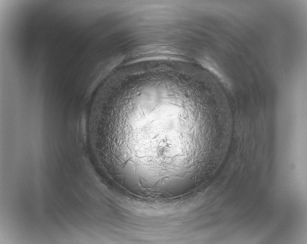 X0000071810014200607072129