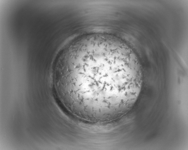 X0000071810016200607072129