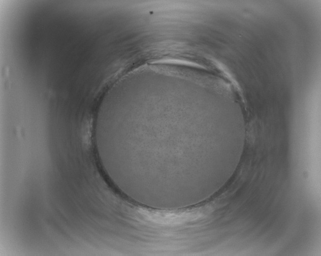 X0000071810018200607072129