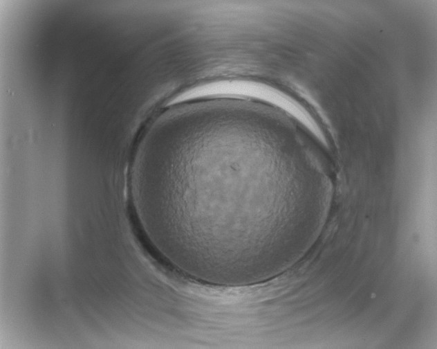 X0000071810019200607072129