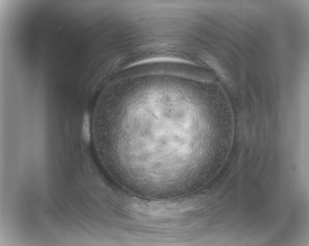 X0000071810022200607072129