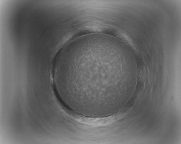 X0000071810023200607072129