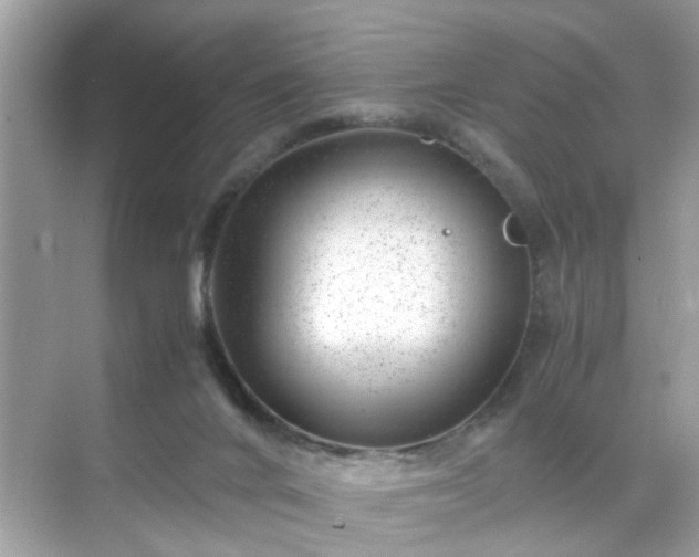 X0000071810024200607072129