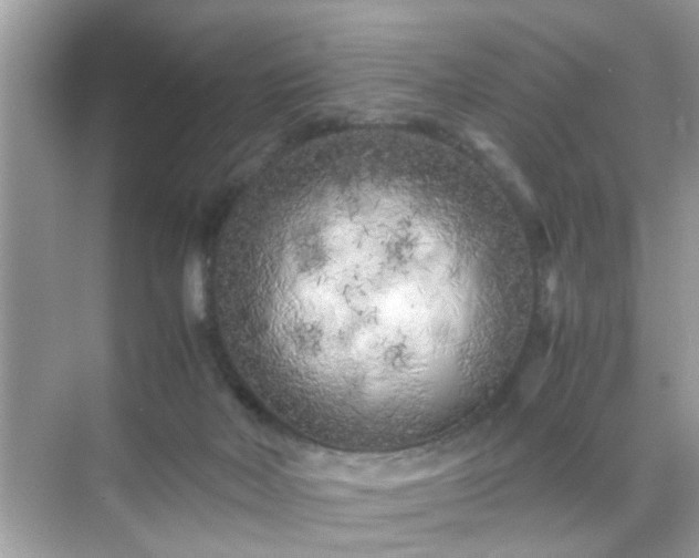 X0000071810026200607072129