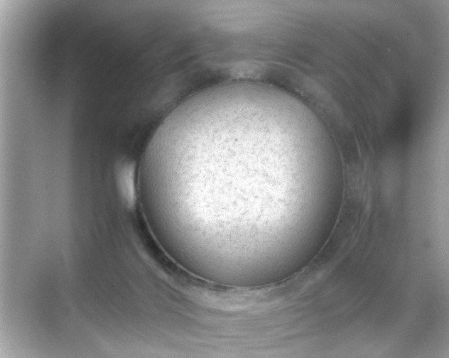 X0000071810028200607072129