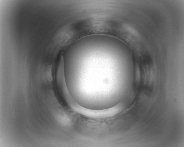 X0000071810029200607072129