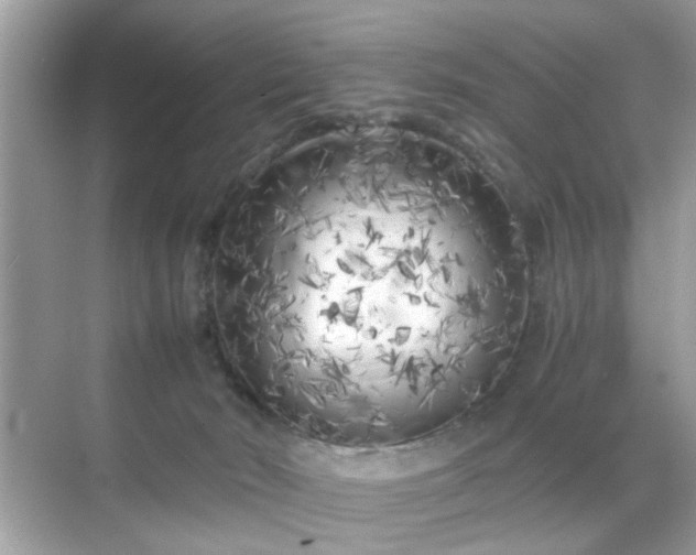 X0000071810030200607072129