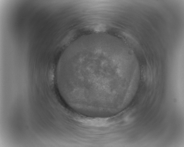 X0000071810032200607072129