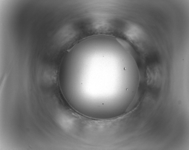 X0000071810033200607072129