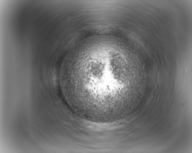 X0000071810034200607072129