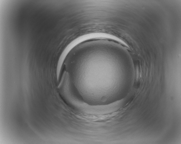 X0000071810035200607072129