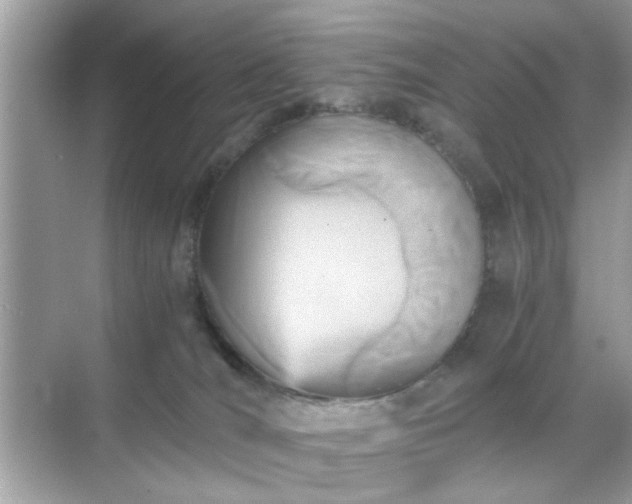 X0000071810036200607072129