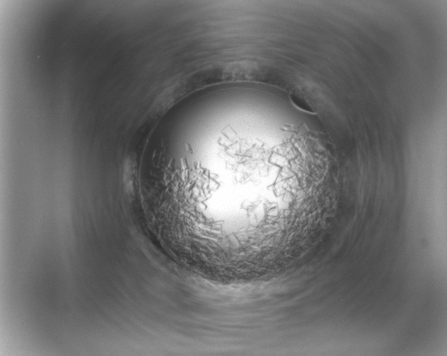 X0000071810038200607072129