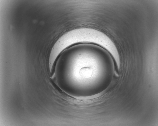 X0000071810039200607072129