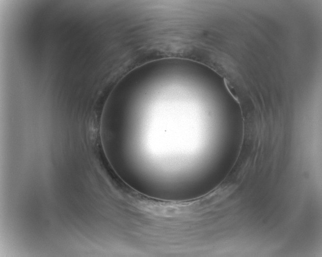 X0000071810040200607072129